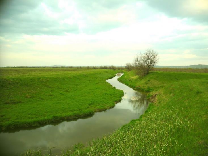 Ванчиківці з panoramio.com - Ванчиковцы
