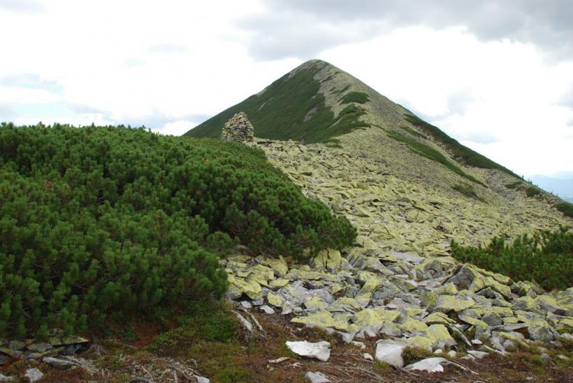 Черник з panoramio.com - Черник