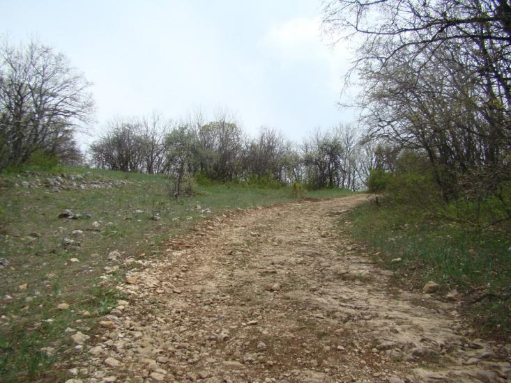 Поляна з panoramio.com - Поляна