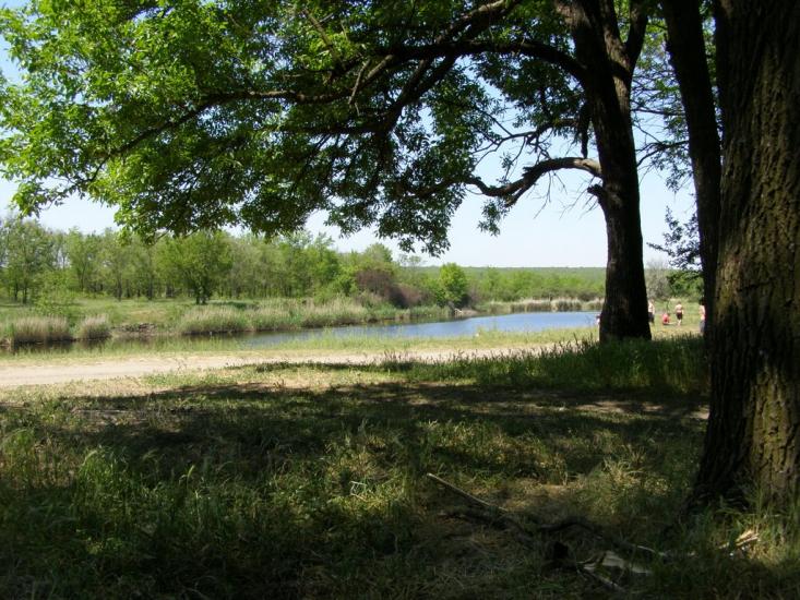 Новопилипівка з panoramio.com - Новопилиповка