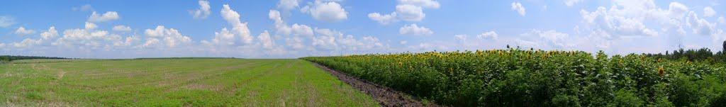 Доманівка з panoramio.com - Доманевка