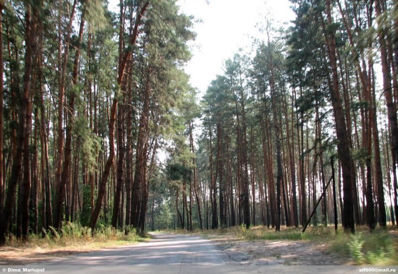 Ярова з panoramio.com - Ярова