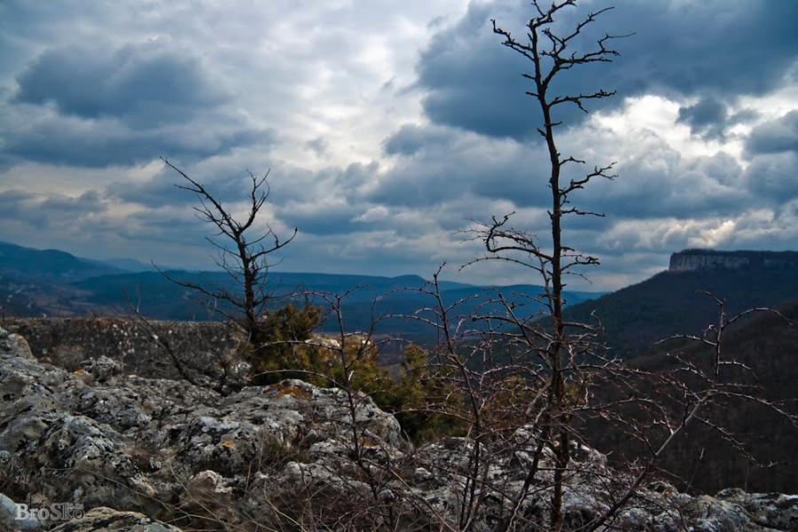 Тургенєвка з panoramio.com - Тургенєвка