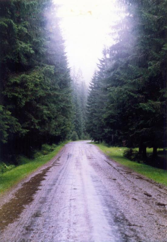 Поляниця з panoramio.com - Поляница