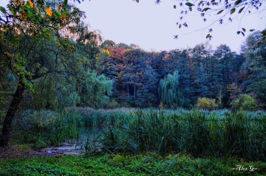 Новосілки з panoramio.com - Новоселки