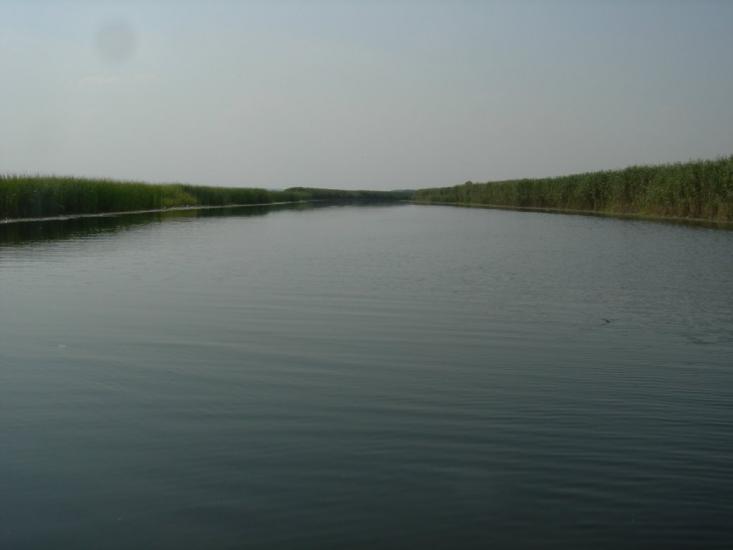 Колісники з panoramio.com - Колісники