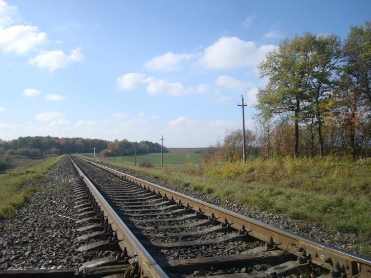 Волудринці з panoramio.com - Волудринці