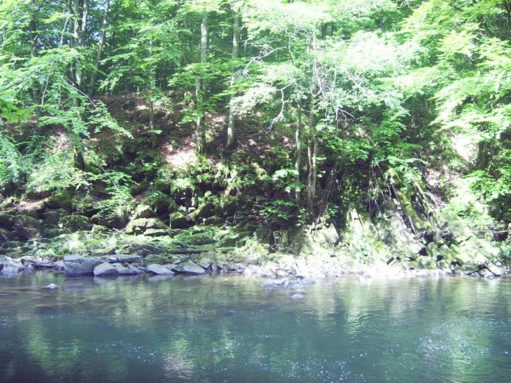 Ганьковиця з panoramio.com - Ганьковица