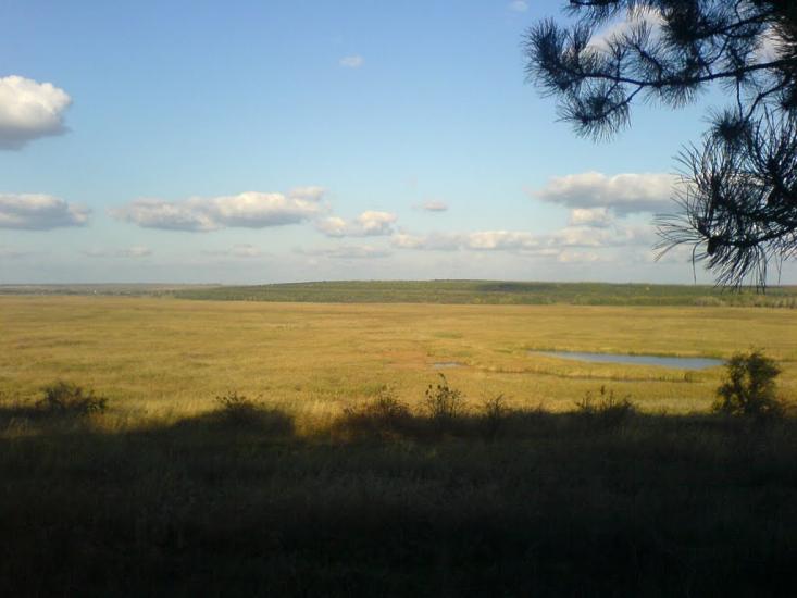 Доброкам'янка з panoramio.com - Доброкам'янка