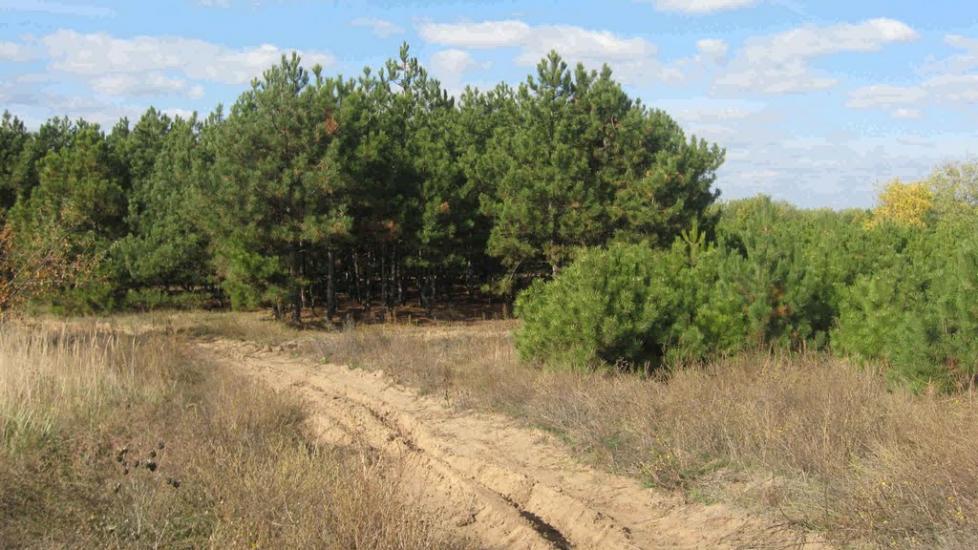 Михайло-Ларине з panoramio.com - Михайло-Ларине