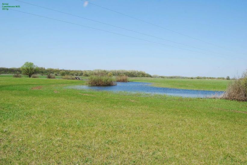 Плавні з panoramio.com - Плавни