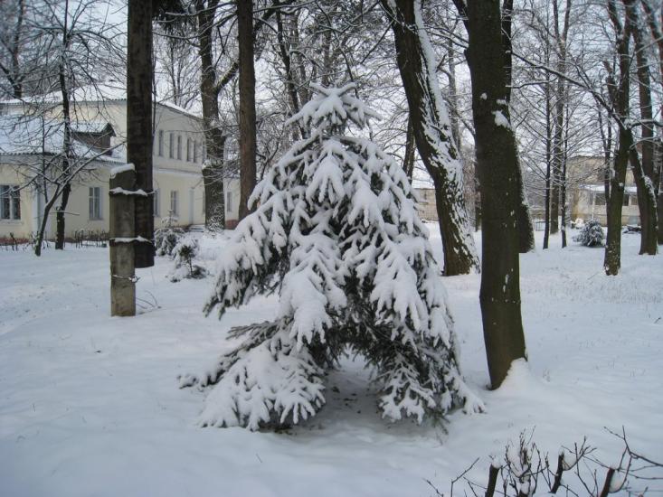 Червоне з panoramio.com - Червоне