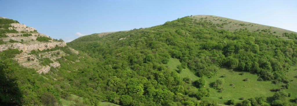 Дружне з panoramio.com - Дружне
