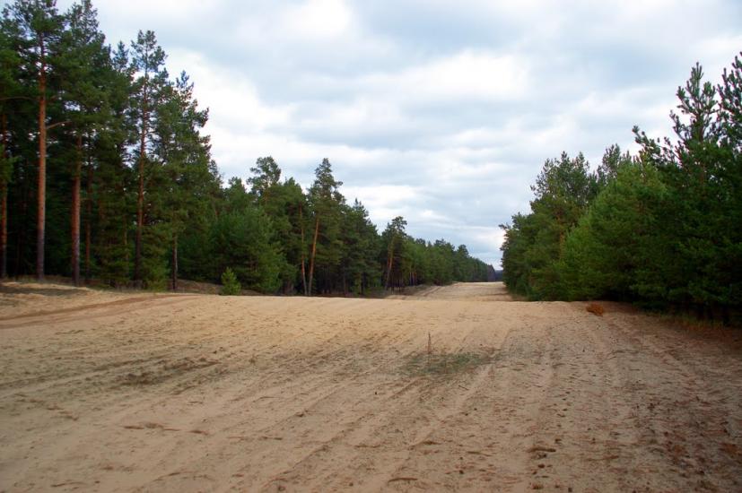 Підлісне з panoramio.com - Pidlisne