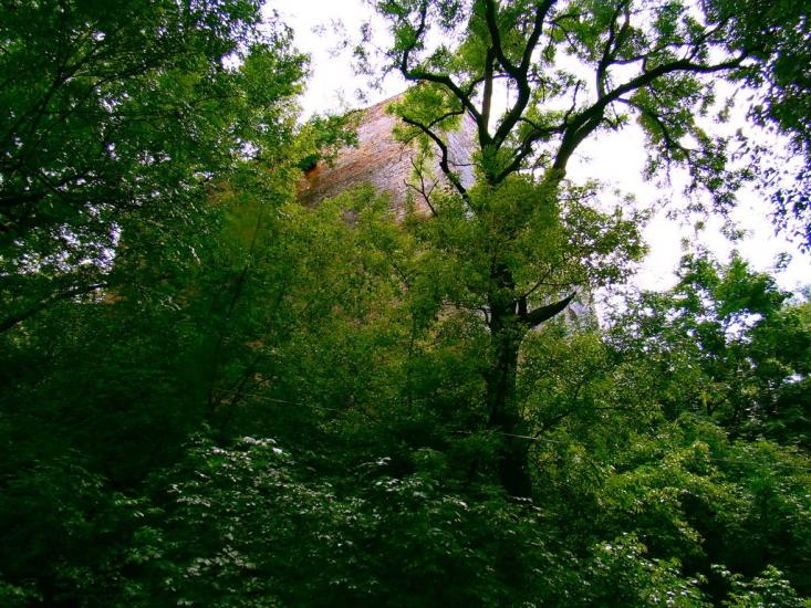 Сморжів з panoramio.com - Сморжів