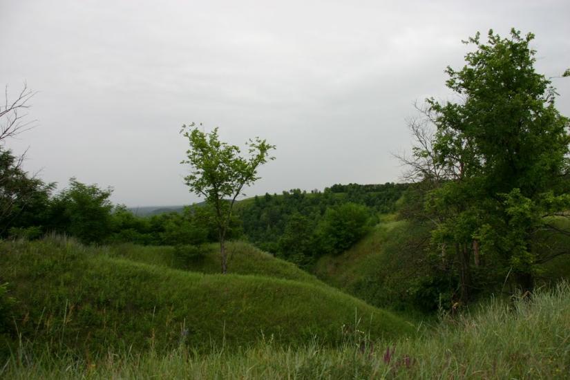 Межиріч з panoramio.com - Межирич