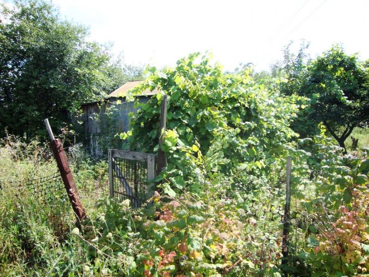 Руські Тишки з panoramio.com - Русские Тишки