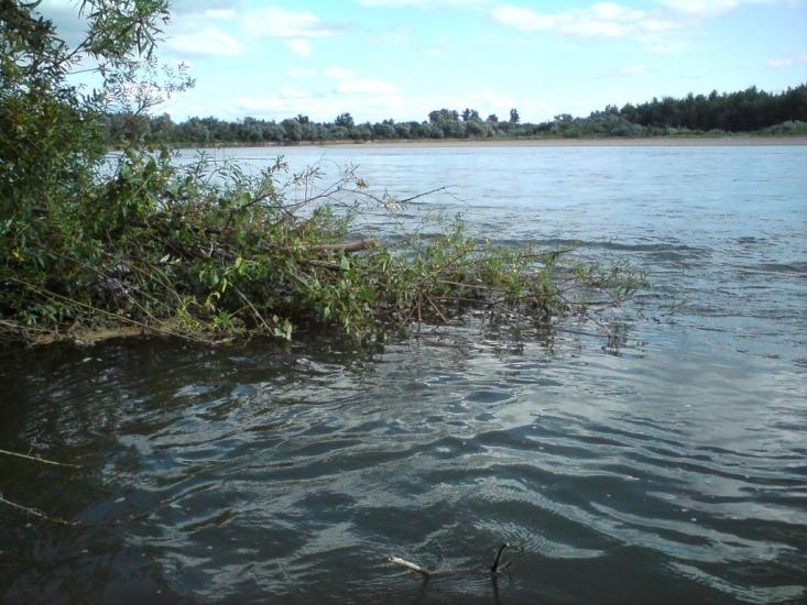 Нове Село з panoramio.com - Нове Село