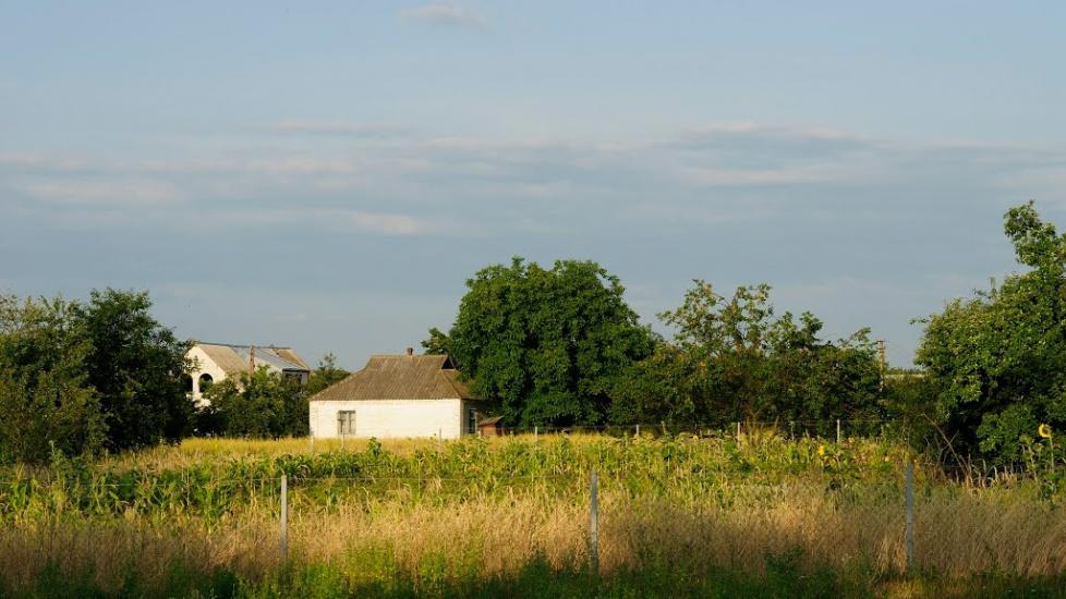 Коржі з panoramio.com - Коржі