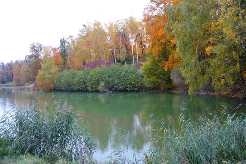 Васьківці з panoramio.com - Васьковцы