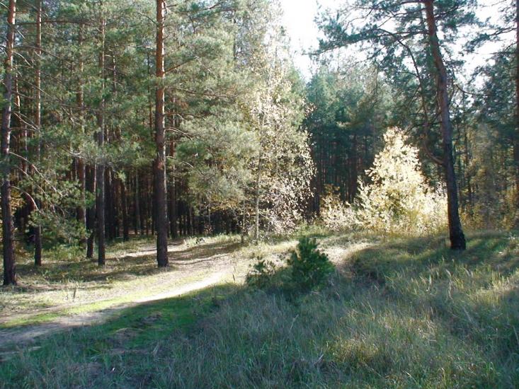 Студенок з panoramio.com - Студенок