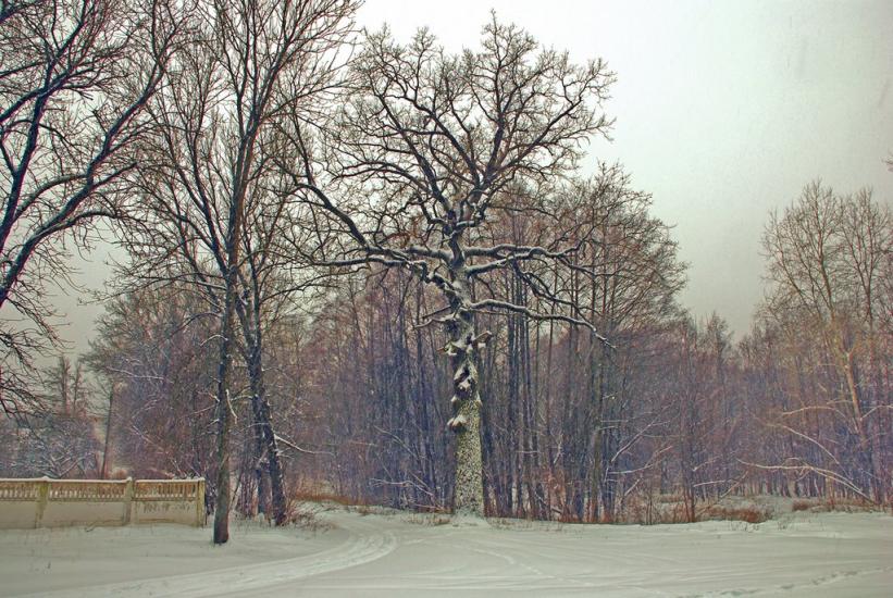 Свидівок з panoramio.com - Svydivok
