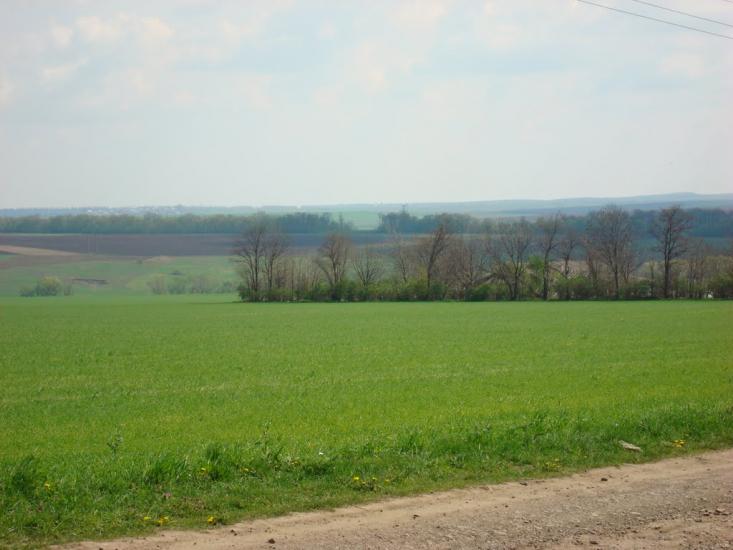 Кліводин з panoramio.com - Кліводин