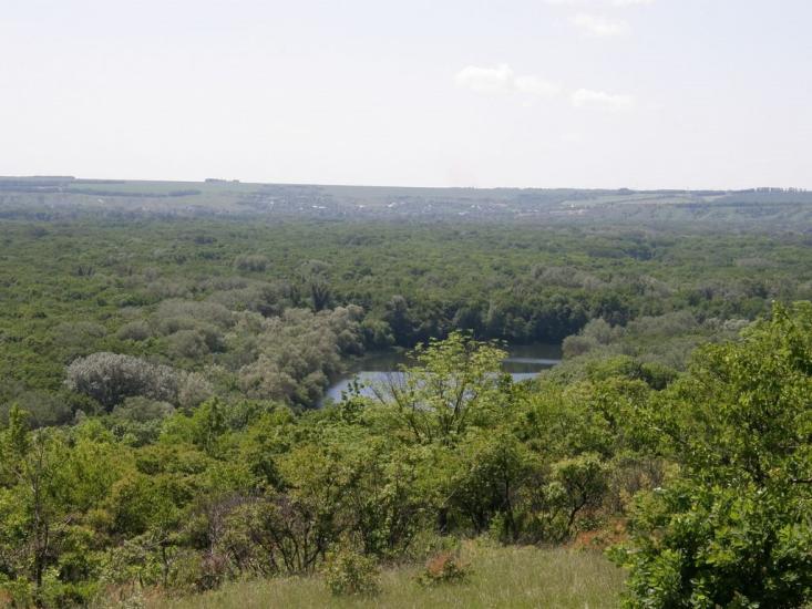 Пришиб з panoramio.com - Пришиб