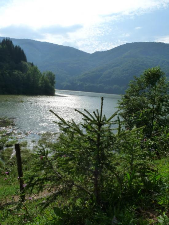 Вільшани з panoramio.com - Ольшаны