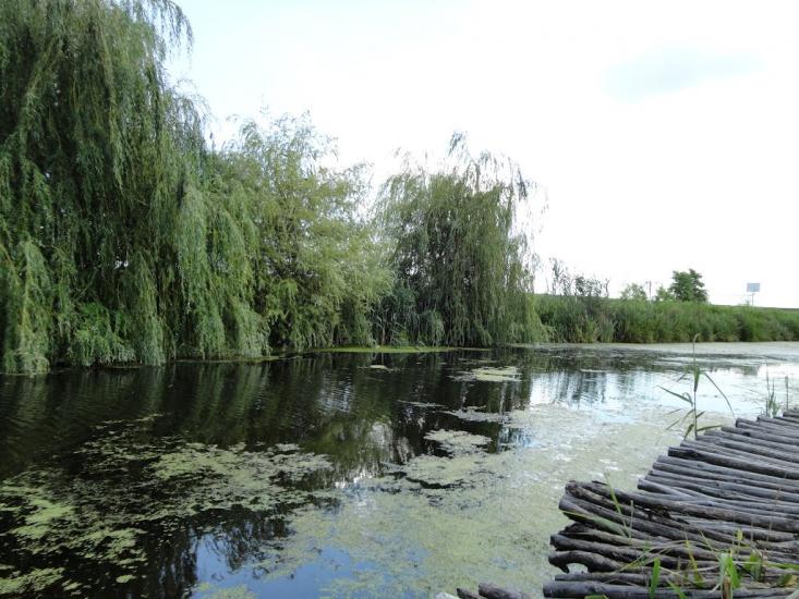 Чехівка з panoramio.com - Чеховка