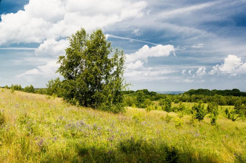 Пекарі з panoramio.com - Пекарі