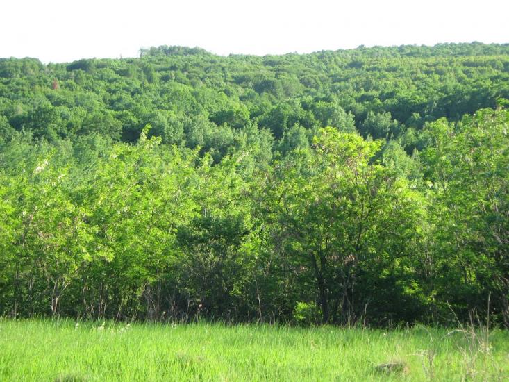 Дебеславці з panoramio.com - Дебеславцы