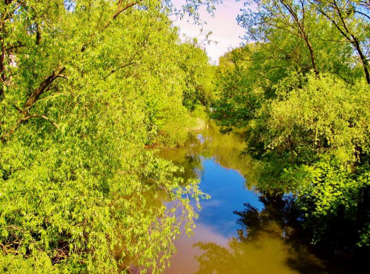 Звенигородка з panoramio.com - Звенигородка