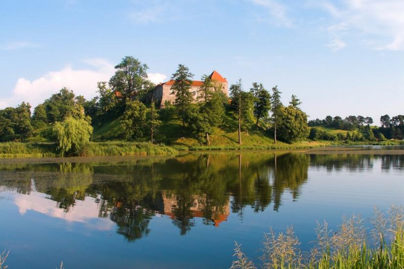 Свірж з panoramio.com - Свирж