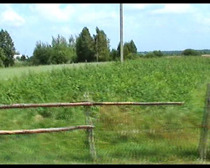 Сошники з panoramio.com - Сошники