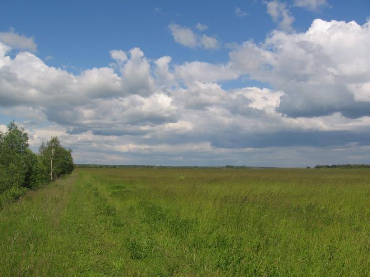 Терехівка з panoramio.com - Тереховка