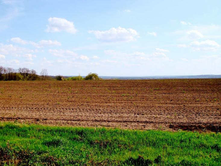 Стебне з panoramio.com - Stebne
