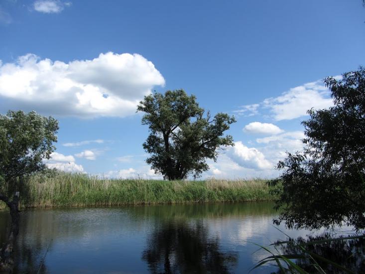 Сергіївка з panoramio.com - Сергеевка