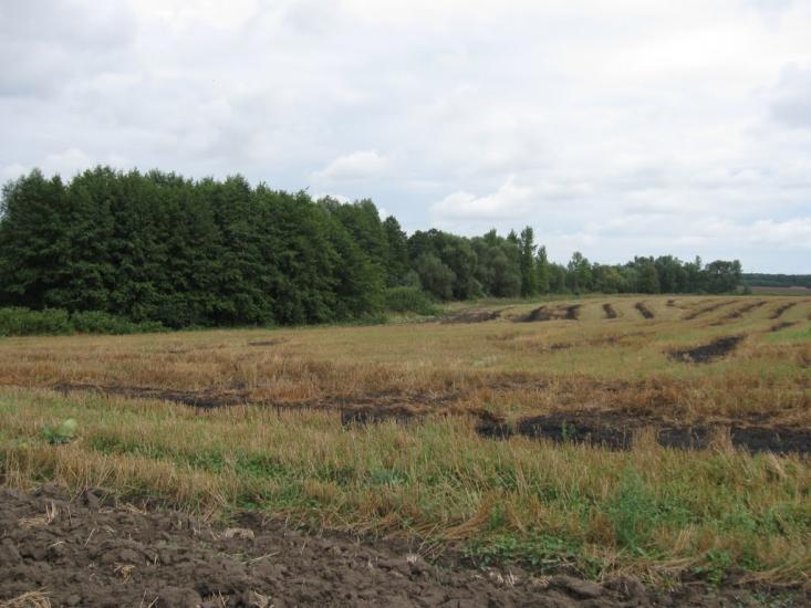 Кузьминці з panoramio.com - Кузьминцы