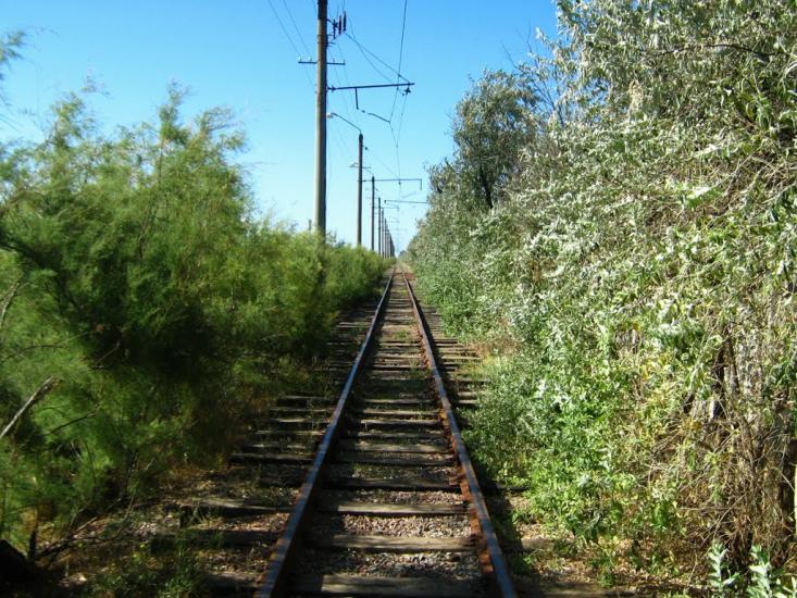 Молочне з panoramio.com - Молочне