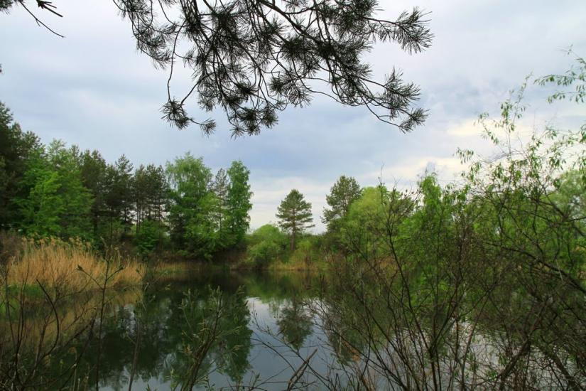 Печеніги з panoramio.com - Печениги