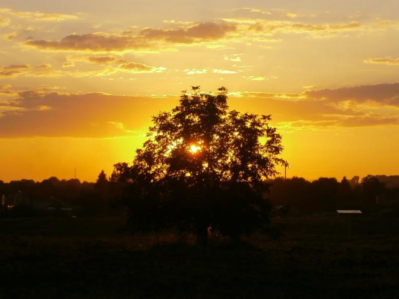 Полонка з panoramio.com - Полонка