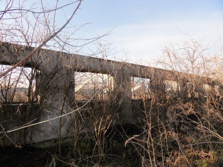 Узин з panoramio.com - Uzyn