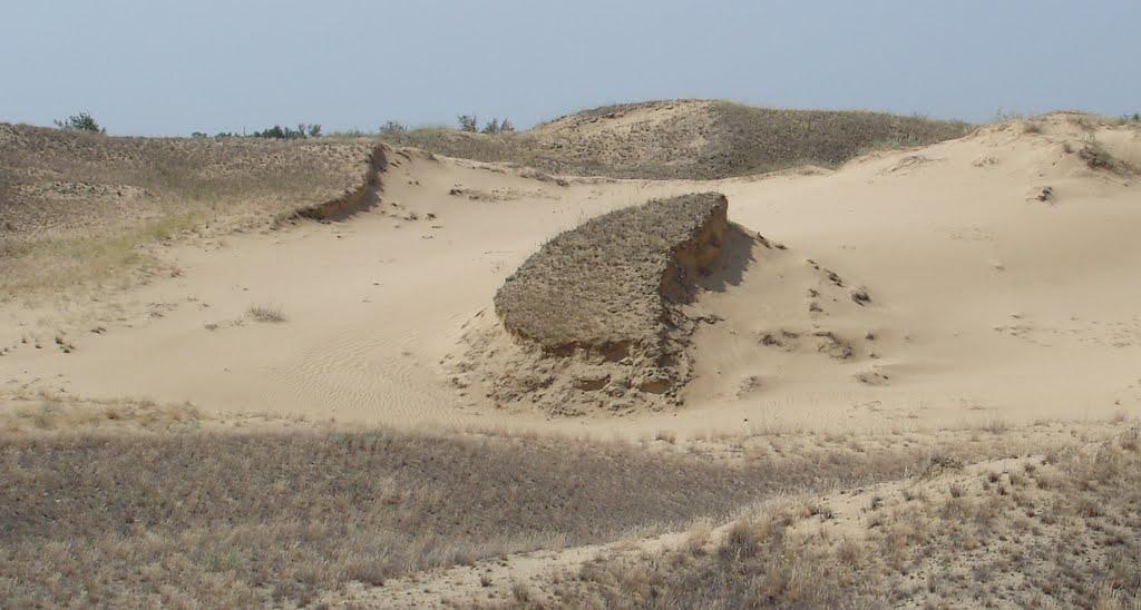 Пролетарка з panoramio.com - Пролетарка