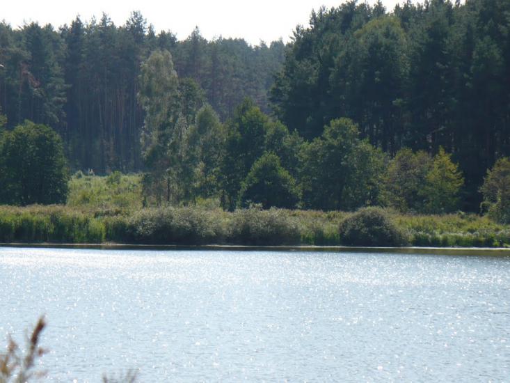 Забір'я з panoramio.com - Заборье