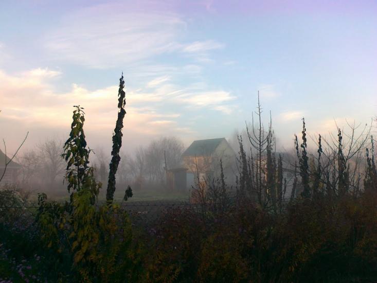Підлісся з panoramio.com - Подлесье