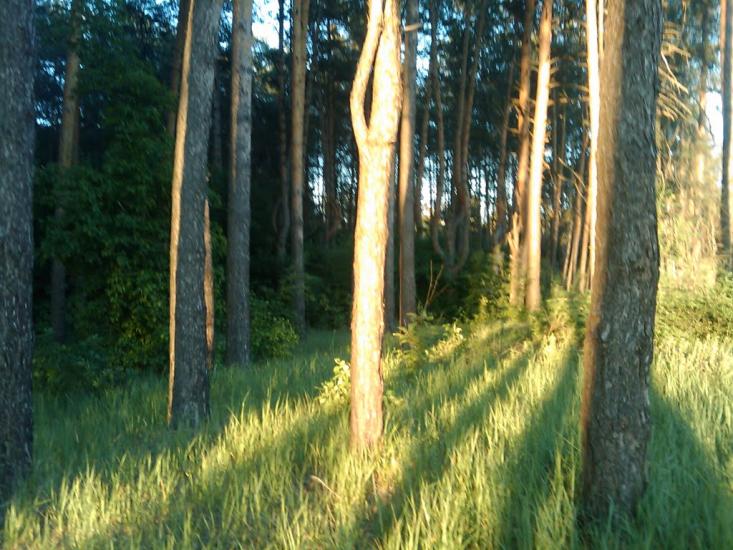 Геронимівка з panoramio.com - Geronymivka