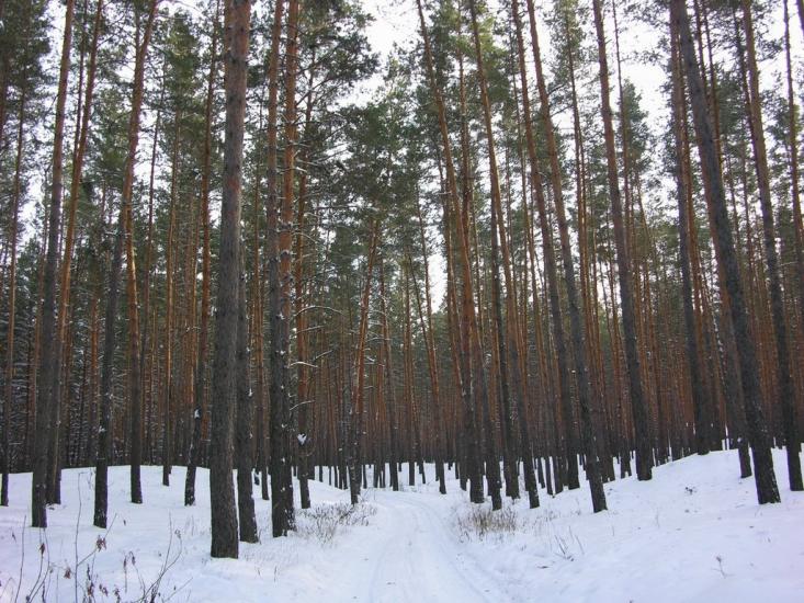 Крейдянка з panoramio.com - Крейдянка