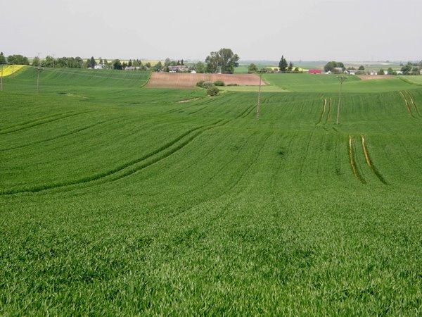 Угнів з panoramio.com - Ugniv