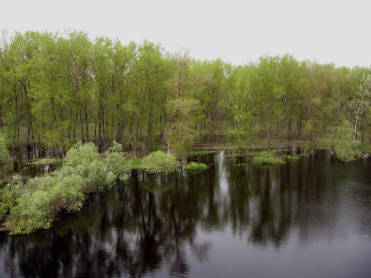 Остер з panoramio.com - Остер